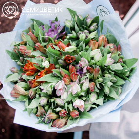 Букет из 25 альстромерий микс в голубой пленке