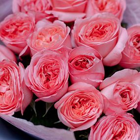 Букет из 15 розовых пионовидных роз Pink Expression 50 см