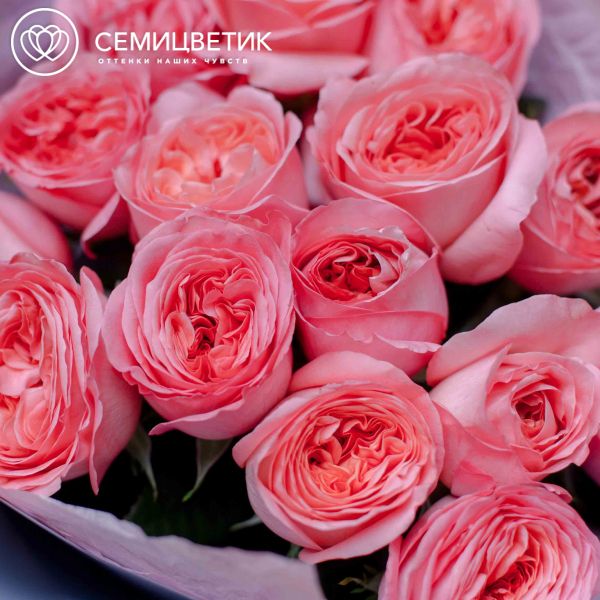 Букет из 15 розовых пионовидных роз Pink Expression 50 см