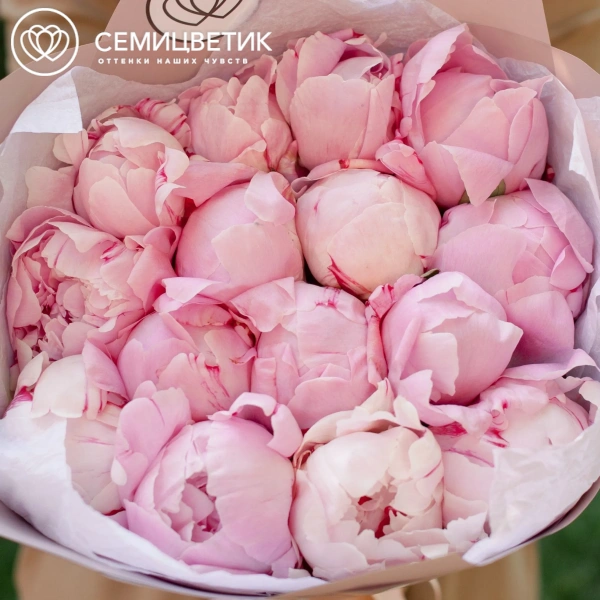 Букет из 15 розовых пионов Premium в розовой пленке
