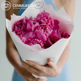 Букет из 7 ярко-розовых пионов Standart Plus в белой пленке