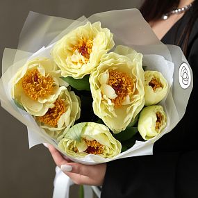 Монобукет  из 7 лимонных пионов Lemon Chiffon Premium