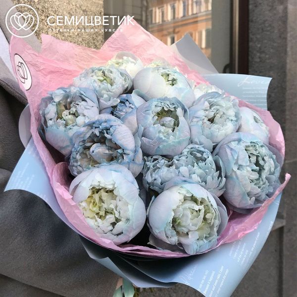 Букет из 15 голубых пионов Premium в голубой пленке