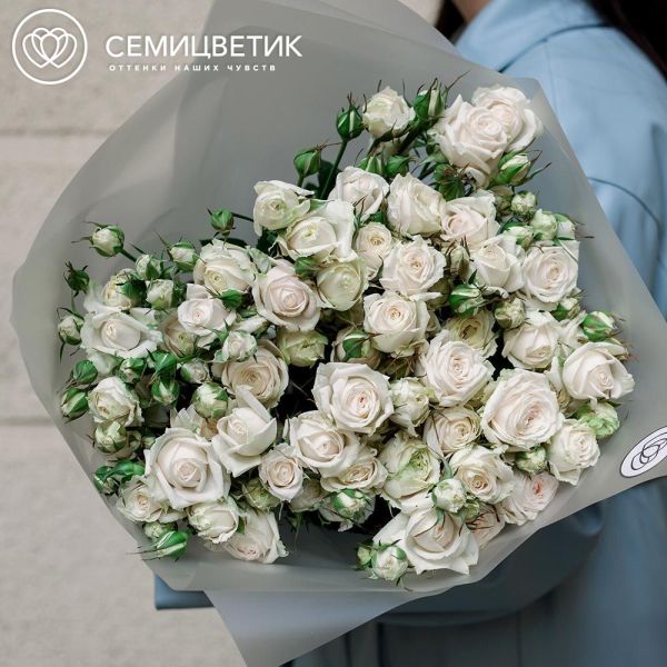 Букет из 15 кустовых пионовидных белых роз 70 см (Россия) в прозрачной пленке