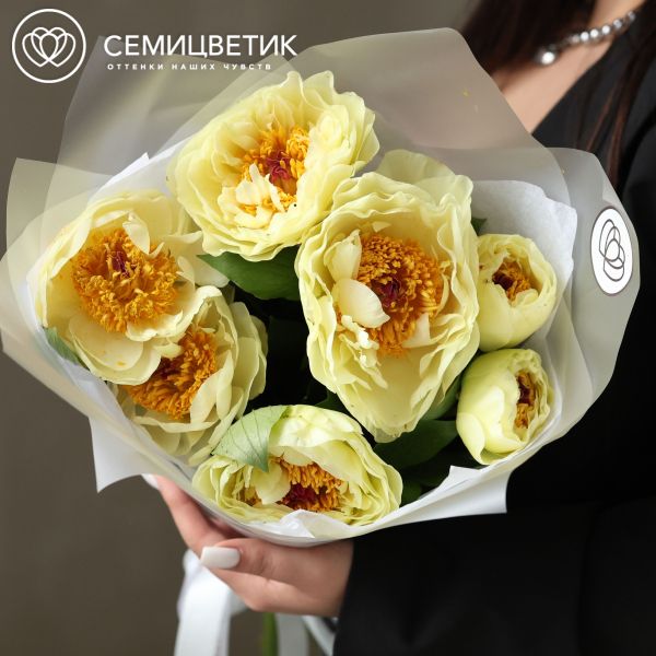 Букет из 7 лимонных пионов Lemon Chiffon Premium
