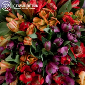 Букет из 23 альстромерий яркий микс в кремовой пленке