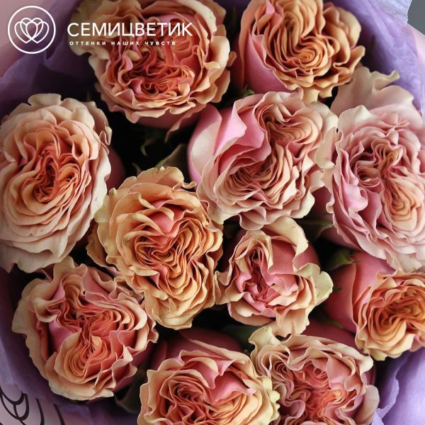 Букет из 11 розовых пионовидных роз Mabella 40 см