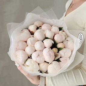 Букет из 25 нежно-розовых пионов Standart Plus в прозрачной упаковке