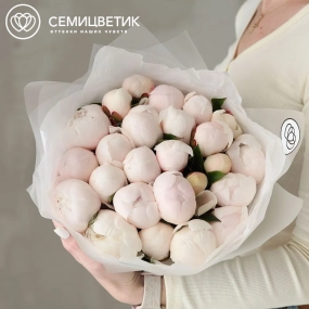 Букет из 25 нежно-розовых пионов Standart Plus в прозрачной упаковке