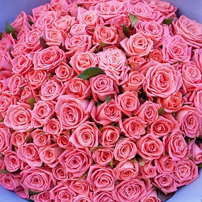 Букет из 101 коралловой розы 35-40 см (Россия) в сиреневой пленке