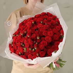 Букет из 51 красной кустовой розы 40-50 см (Россия)