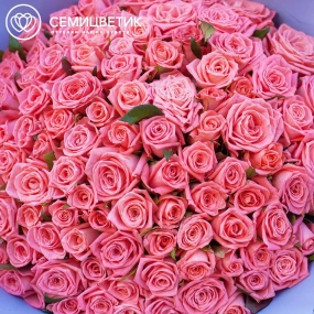 Букет из 101 коралловой розы 35-40 см (Россия) в сиреневой пленке