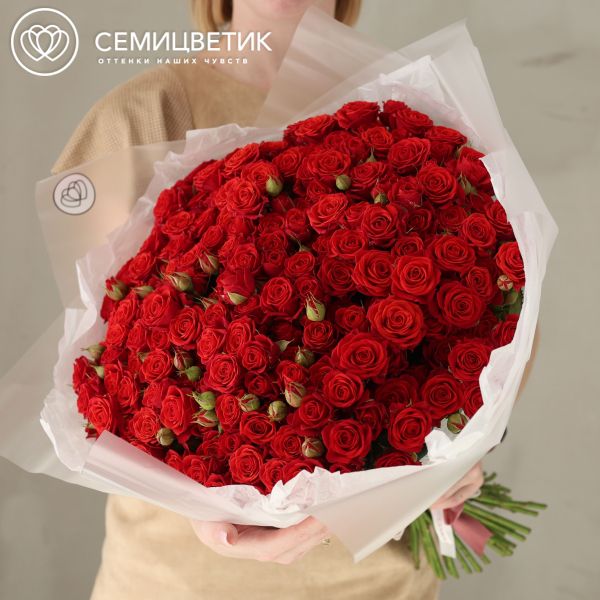 Букет из 51 красной кустовой розы 40-50 см (Россия)