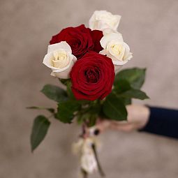 Букет из 5 красных и белых роз 50 см (Эквадор)