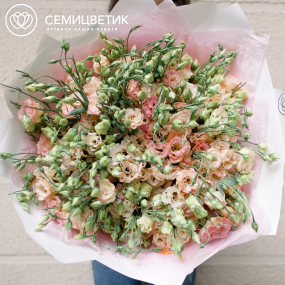 Букет из 51 розового махрового лизиантуса в белой пленке