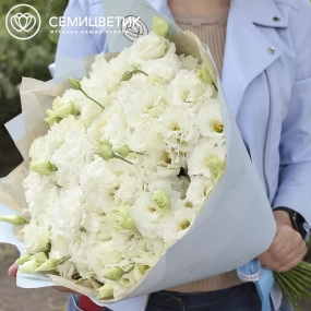 Букет из 51 белого махрового лизиантуса в голубой пленке
