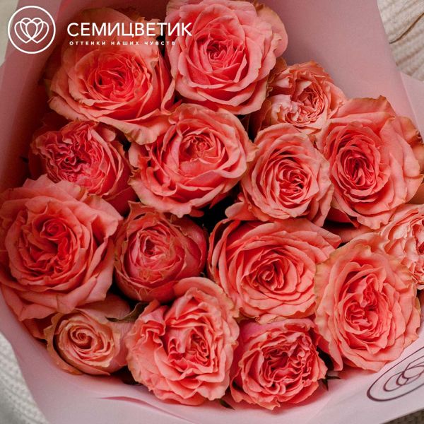 Букет из 15 кораллово-розовых пионовидных роз Wild Love 40 см