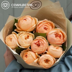 Букет из 9 кремовых пионовидных роз 60 см (Россия) в кремовой пленке