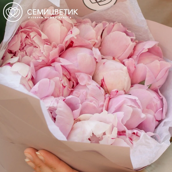 Букет из 15 розовых пионов Premium в розовой пленке