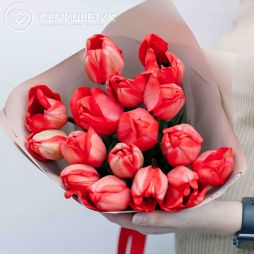 Букет из 15 красных тюльпанов 30 см