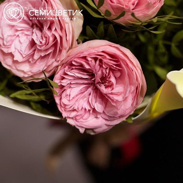 Букет из 11 нежно-розовых пионовидных роз Bridal Piano 40 см с фисташкой