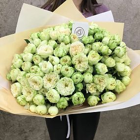 Букет из 51 бело-фисташковой кустовой пионовидной розы Blanchette 40 см