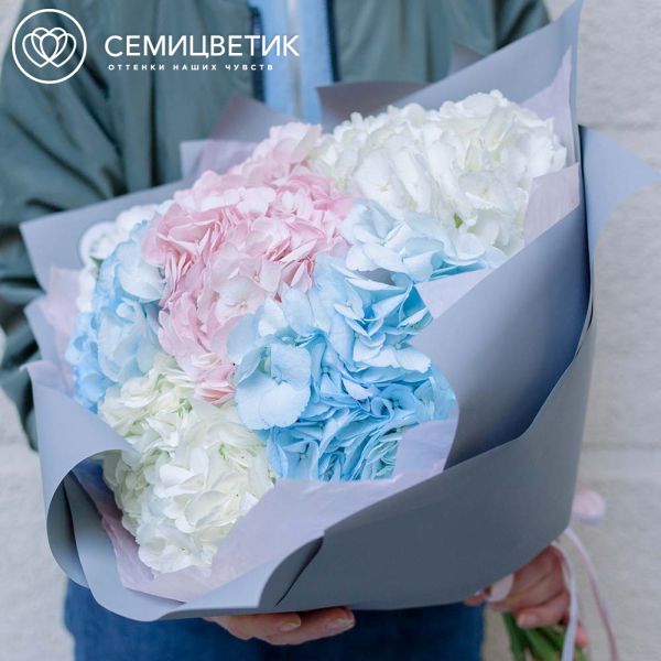 Букет из 7 гортензий микс в нежных тонах