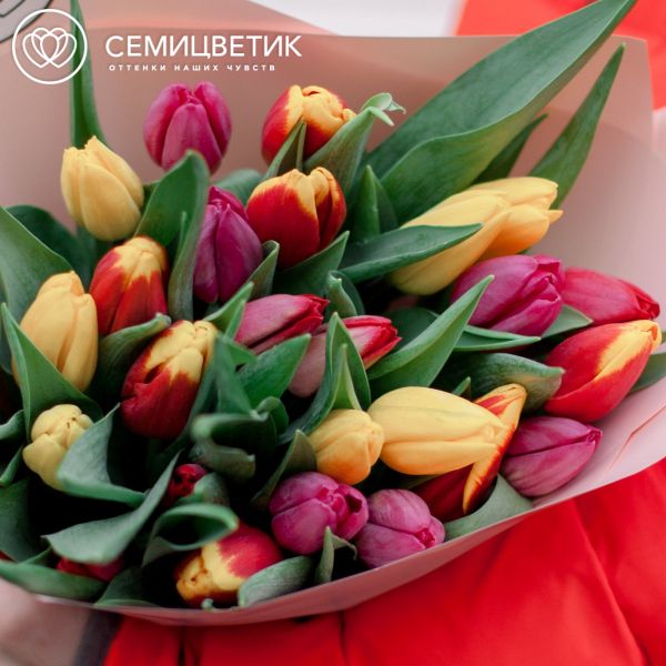 Букет из 25 тюльпанов микс в кремовой пленке