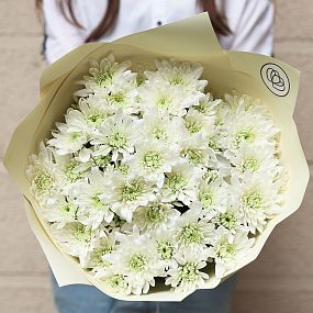 Букет из 11 белых кустовых хризантем