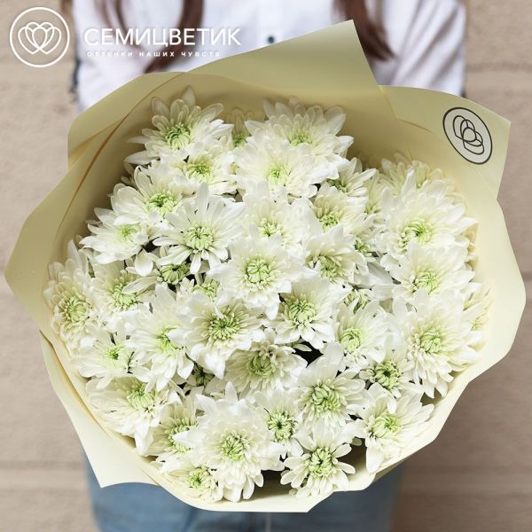 Букет из 11 белых кустовых хризантем