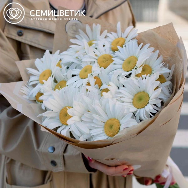 Букет из 25 одноголовых ромашек в упаковке