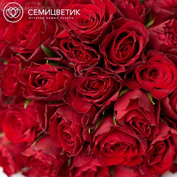 Букет в белой шляпной коробке Amour Mini из 35 красных роз (Кения)