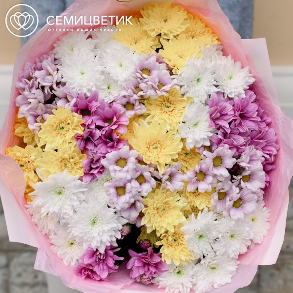 Букет из 15 кустовых хризантем микс