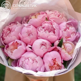 Букет из 11 розовых пионов Premium в розовой пленке