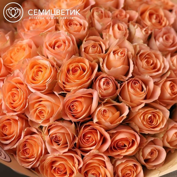 Букет из 51 персиковой розы 40 см (Кения)