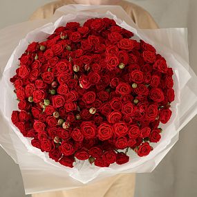 Букет из 51 красной кустовой розы 40-50 см (Россия)