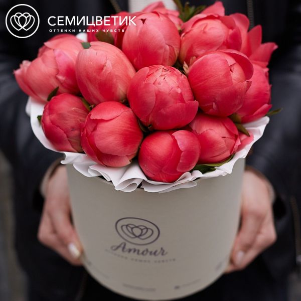Букет в белой шляпной коробке Amour Mini из 15 коралловых пионов Coral Sunset Premium
