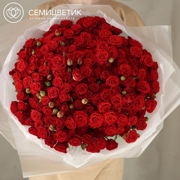 Букет из 51 красной кустовой розы 40-50 см (Россия)