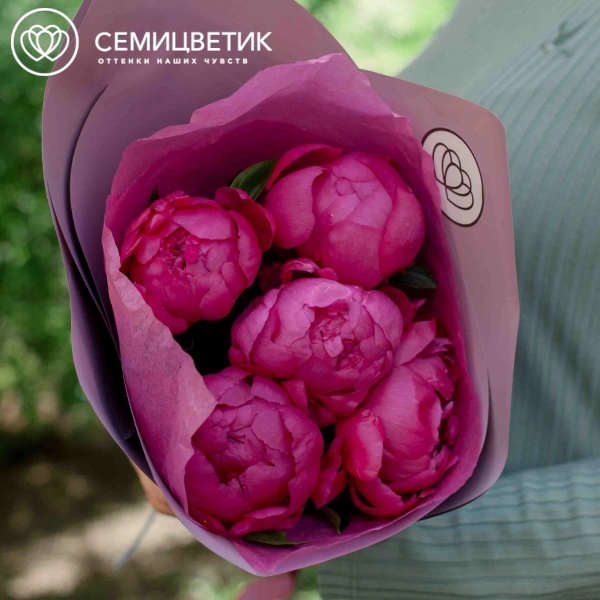 Букет из 5 малиновых пионов Premium в сиреневой пленке