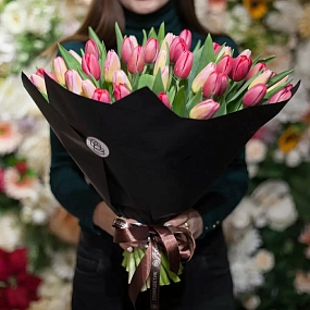 Букет из 51 красного и розового тюльпана 40 см в бордовой пленке