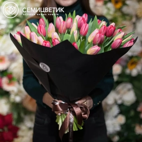 Букет из 51 красного и розового тюльпана 40 см в бордовой пленке