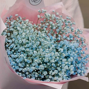 Букет из 7 голубых гипсофил в голубой пленке