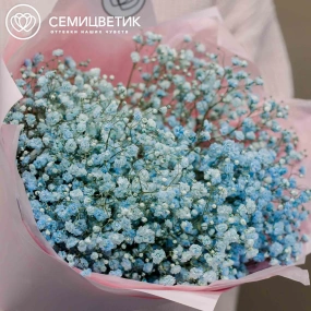 Букет из 7 голубых гипсофил в голубой пленке