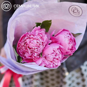 Букет из 3 ярко-розовых пионов Flemming Premium в сиреневой пленке