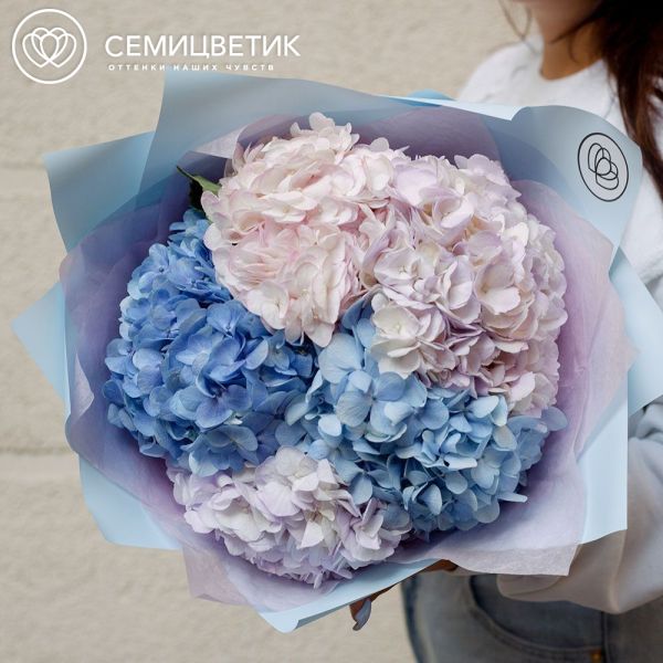 Букет из 5 сиреневых, голубых и розовой гортензии