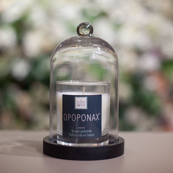 ***Ароматическая свеча Opoponax (Опопонакс)