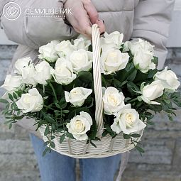 Композиция из 25 белых роз (Россия) с фисташкой в корзине