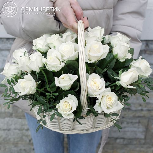 Корзина с 25 белыми розами (Россия) с фисташкой