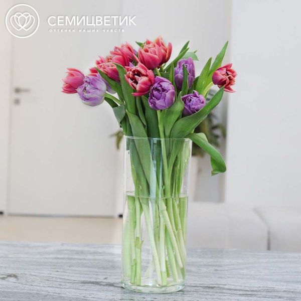 Букет из 15 розовых и сиреневых пионовидных тюльпанов