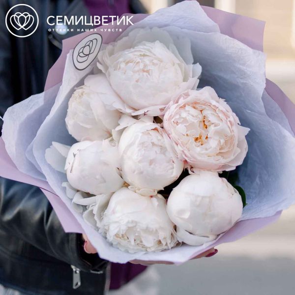Букет из 7 белых пионов Premium